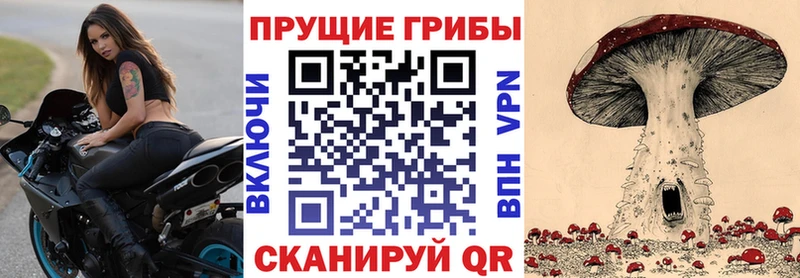 Купить закладки  Болохово  Галлюциногенные грибы MAGIC MUSHROOMS 